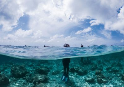 Turtle Snorkeling Experience in Mirissa