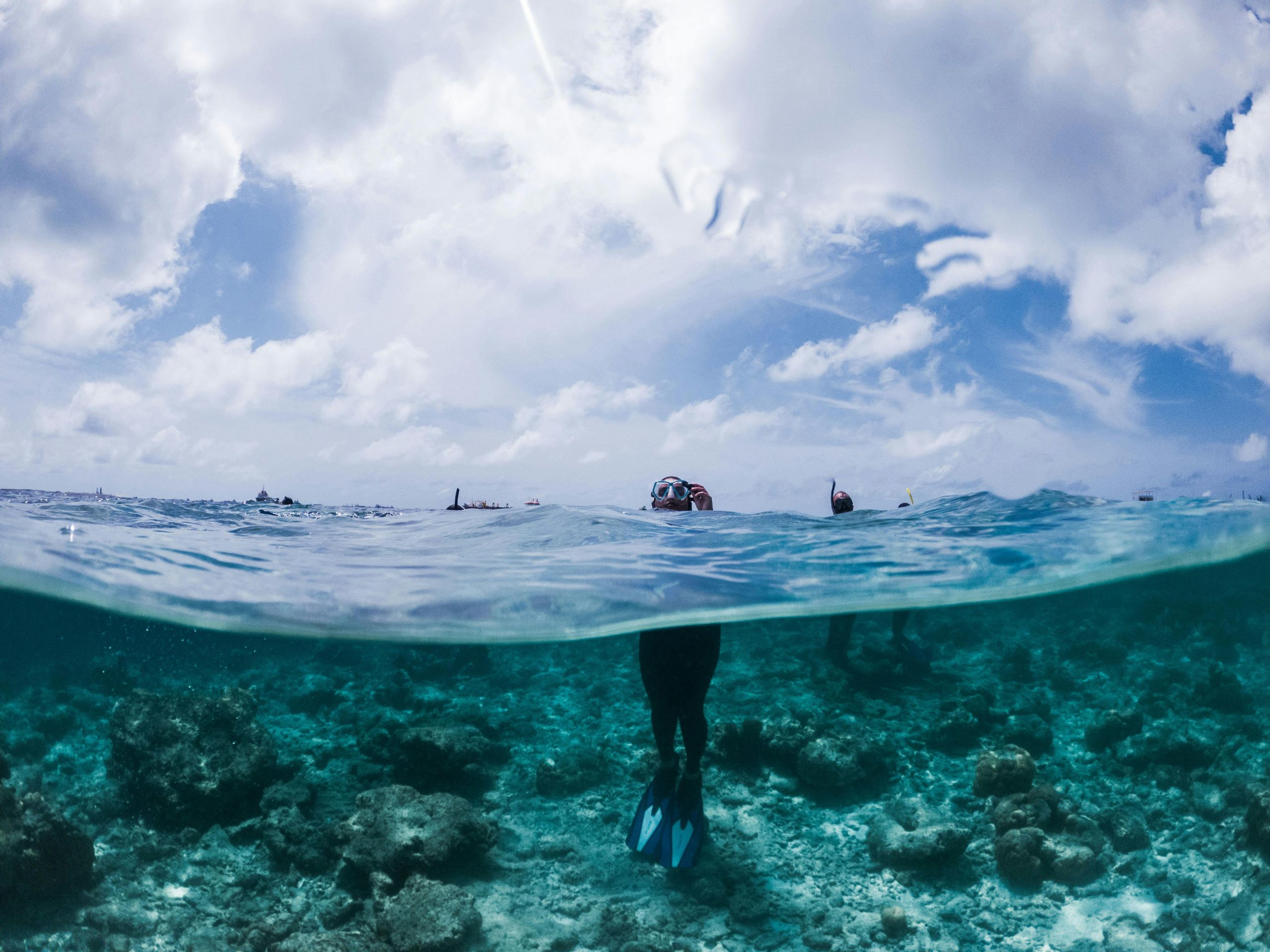 urtle-snorkeling-experience-mirissa-sri-lanka